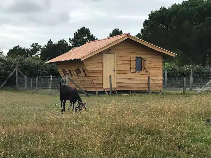 Gite - La Ferme A La Plage Le Porge Exterior photo